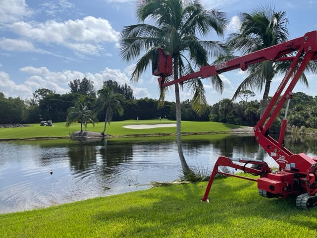 Professional Tree Care in Bonita Springs, FL