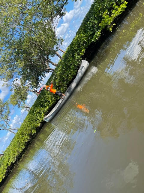 Tree Service in Bonita Springs, FL