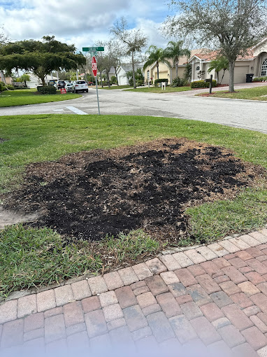 Certified Arborist in Fort Myers, FL