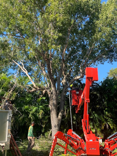 Irrigation Maintenance in Fort Myers, FL