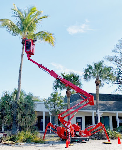 Tree Removal in Captiva, FL