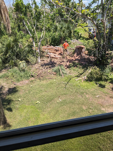 Landscape Maintenance Services in Fort Myers, FL