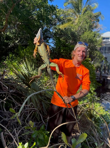 Tree Services in Captiva, FL