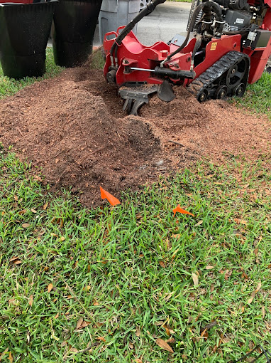 Tree Services in Estero, FL